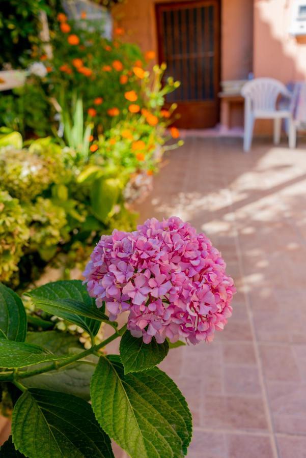 Valsamis Villa Apartments Poros  Exterior foto